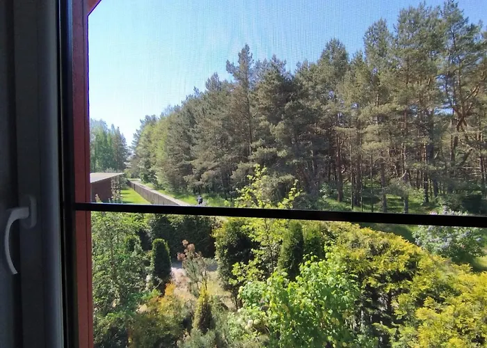 Pusu Tako * 帕兰加